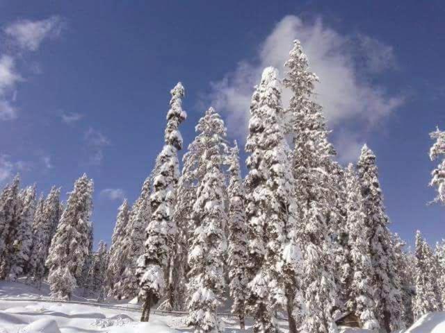 Sheen Homestay Gulmarg Exteriör bild
